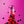 Berry